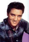 elvis.jpg (20680 bytes)