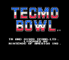 tecmo1.gif (9266 bytes)